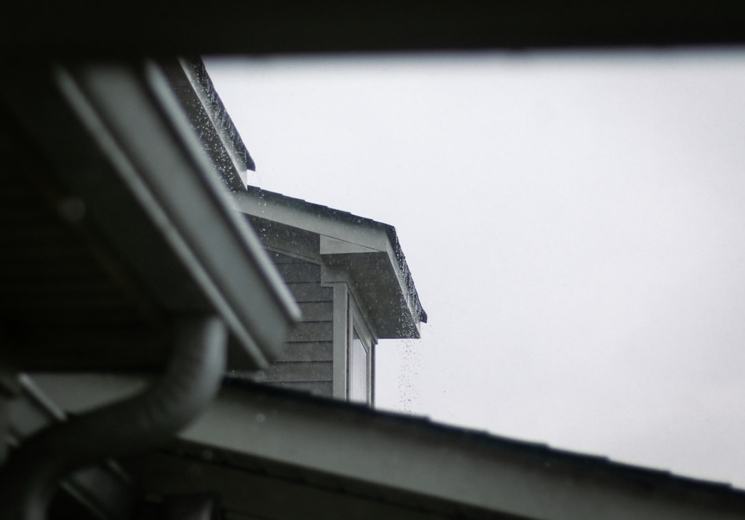 House roofline showing gutter and downpipe against a grey sky